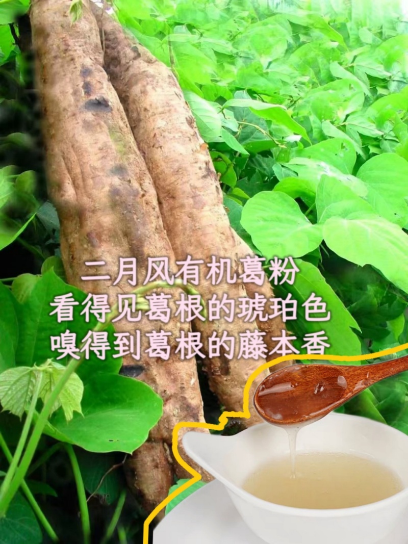 二月風(fēng)有機(jī)葛粉，看得見(jiàn)葛根的琥珀色，嗅得到葛根的藤本香_800.jpg