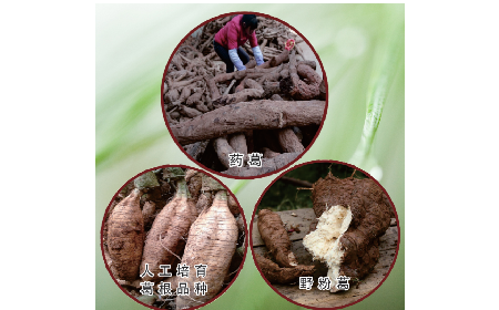 買葛粉是買野生的好？還是野生有機(jī)的好？