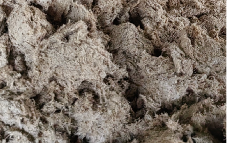 深入大洪山，只為一口純凈 -二月風(fēng)今冬野生葛根收購(gòu)紀(jì)實(shí)